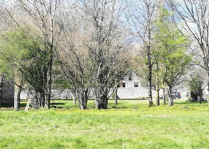 Essentiel - La Dauvinerie *